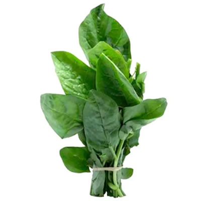 Bertalha